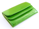 Elegancki portfel damski z biglem, skórzany PD-022 BV Green