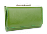 Elegancki portfel damski z biglem, skórzany PD-003 BV Zielony
